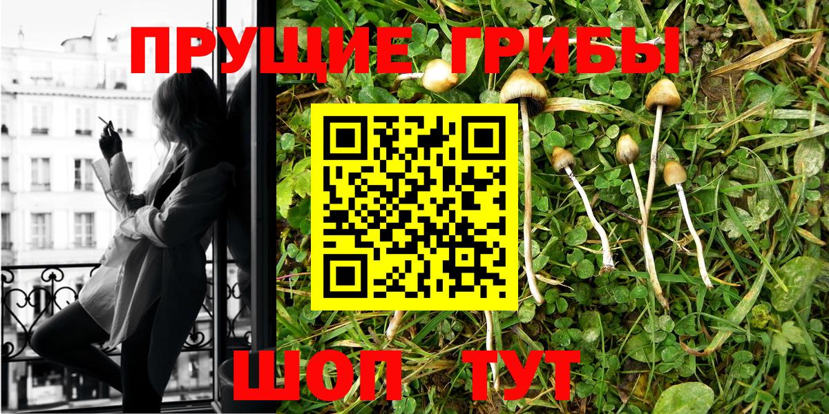 Норильск  Псилоцибиновые грибы Psilocybine cubensis  купить закладку  Вход с VPN 