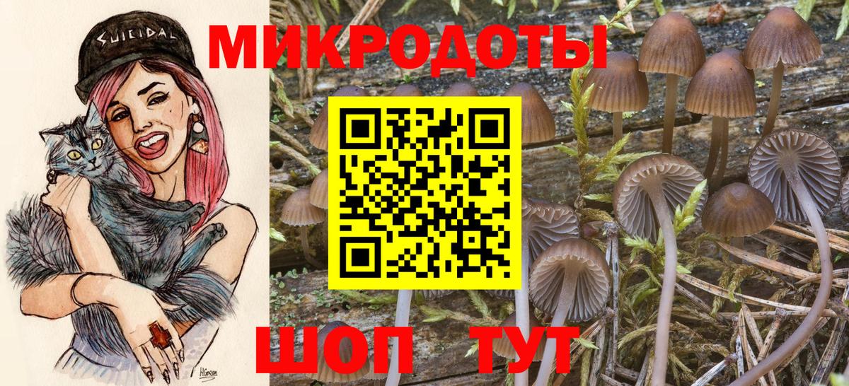 Псилоцибиновые грибы прущие грибы Норильск